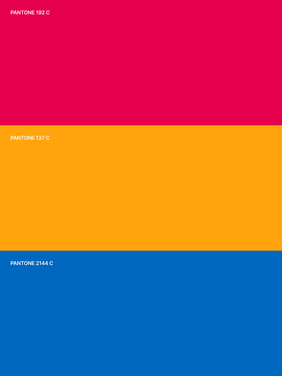 Stranger — Nylon Jacket 06